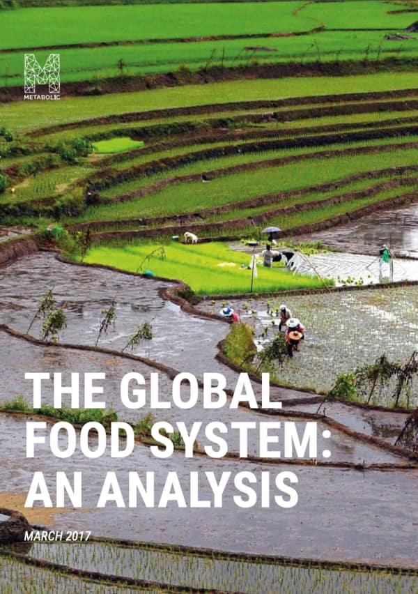 The Global Food System: Trends, impacts, and solutions