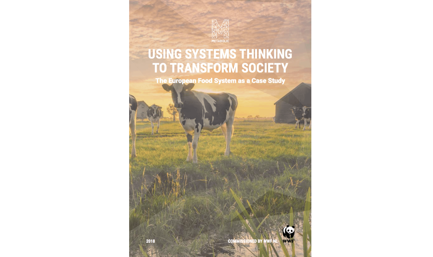 Systems-Thinking-Guidebook_MetabolicWWF