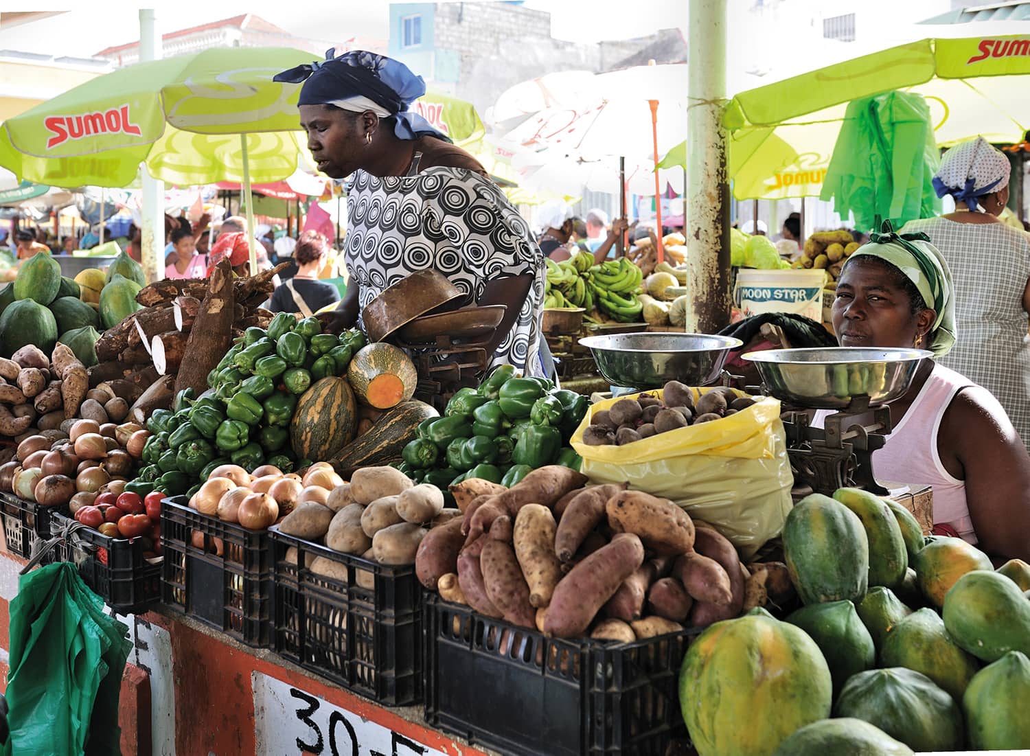 CC_BYSA_Praia_market_potatoes_manioc_Wikipedia