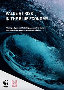 Value at Risk in the Blue Economy