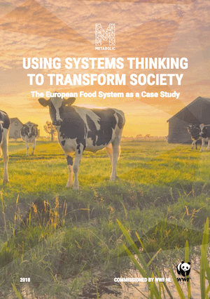 Using Systems Thinking to Transform Society