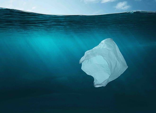 environmental impact of plastic bags