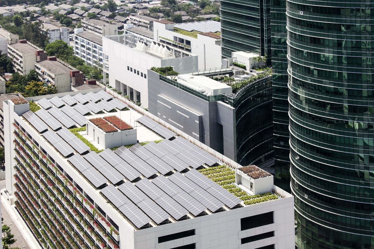 Recommendations include making the most of roof space, through solar panels and cooling rooftop gardens.