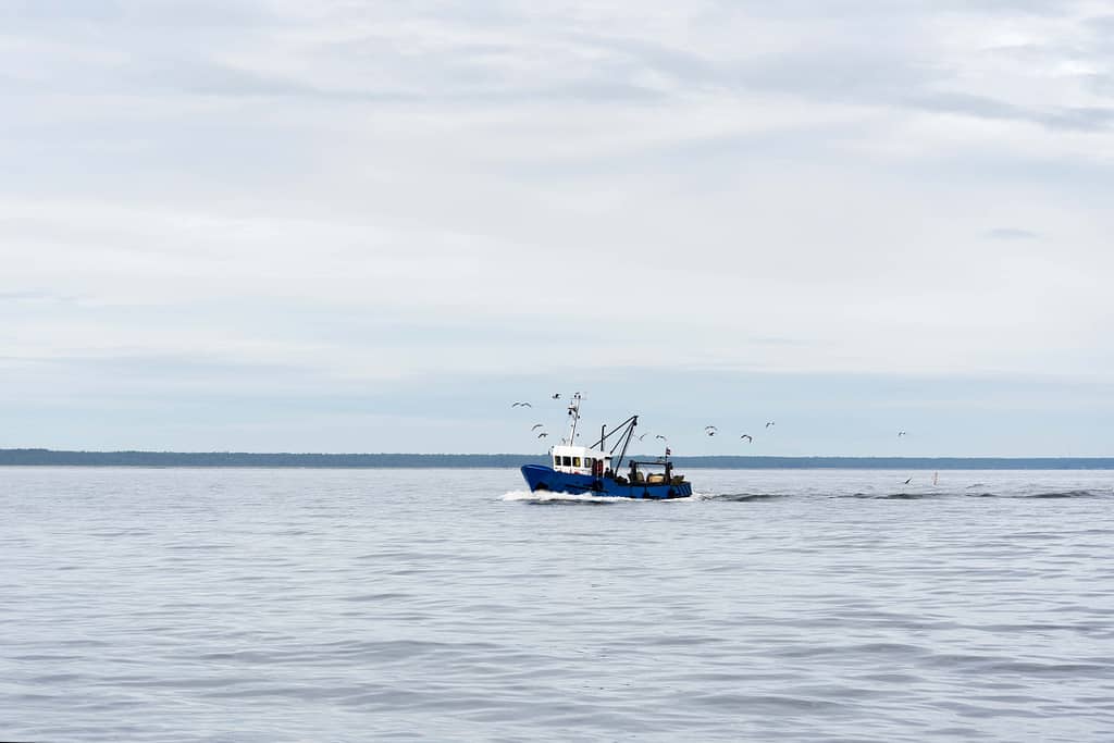 Fishing_Value at risk in the blue economy