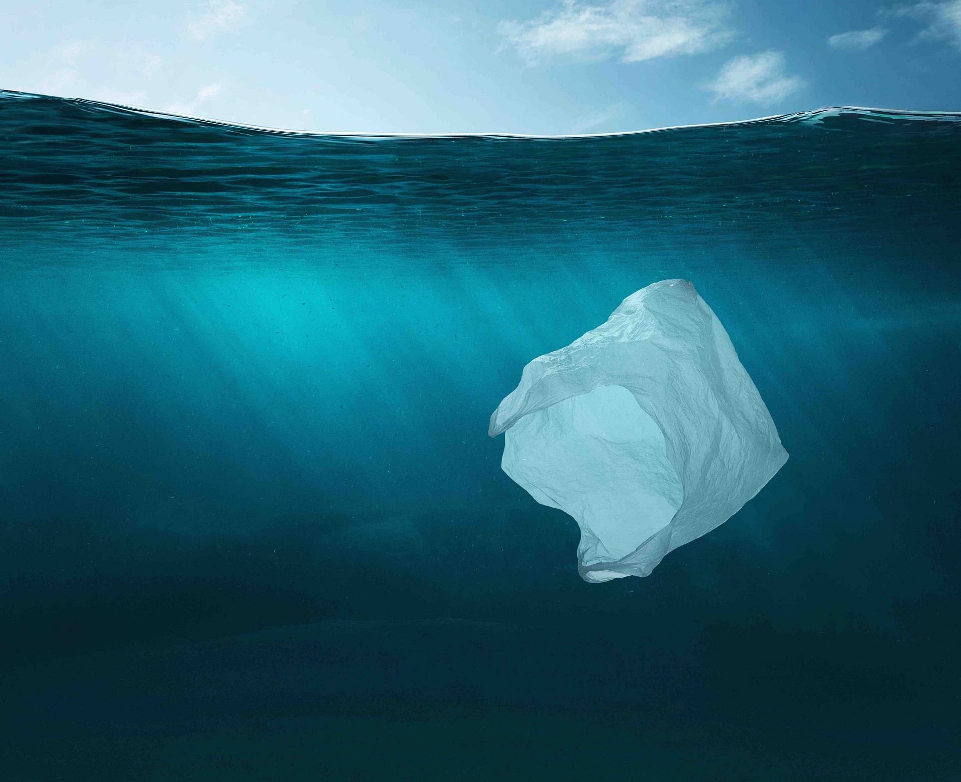 environmental impact of plastic bags