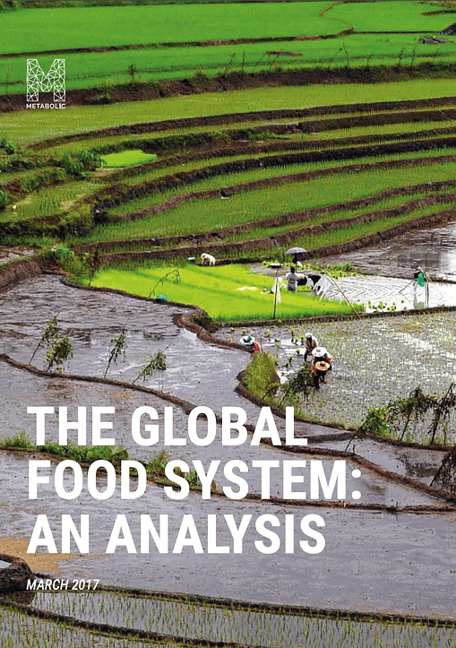 The Global Food System: Analysing The Trends, Impacts And Solutions