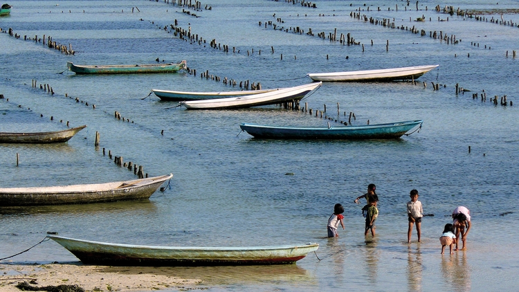 The Global Food System Analysing The Trends Impacts And Solutions