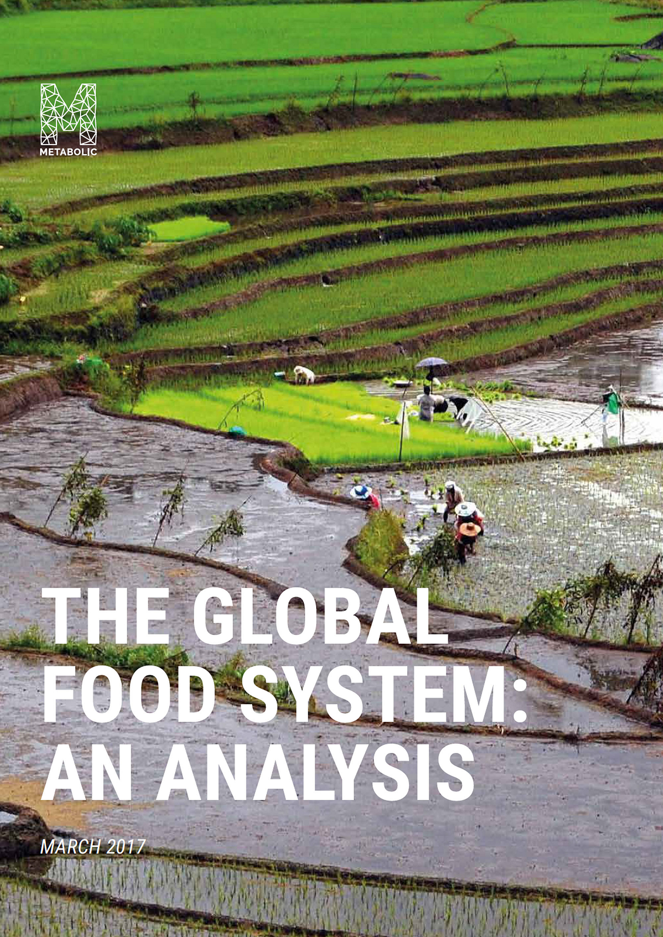 eco global survival farming guide