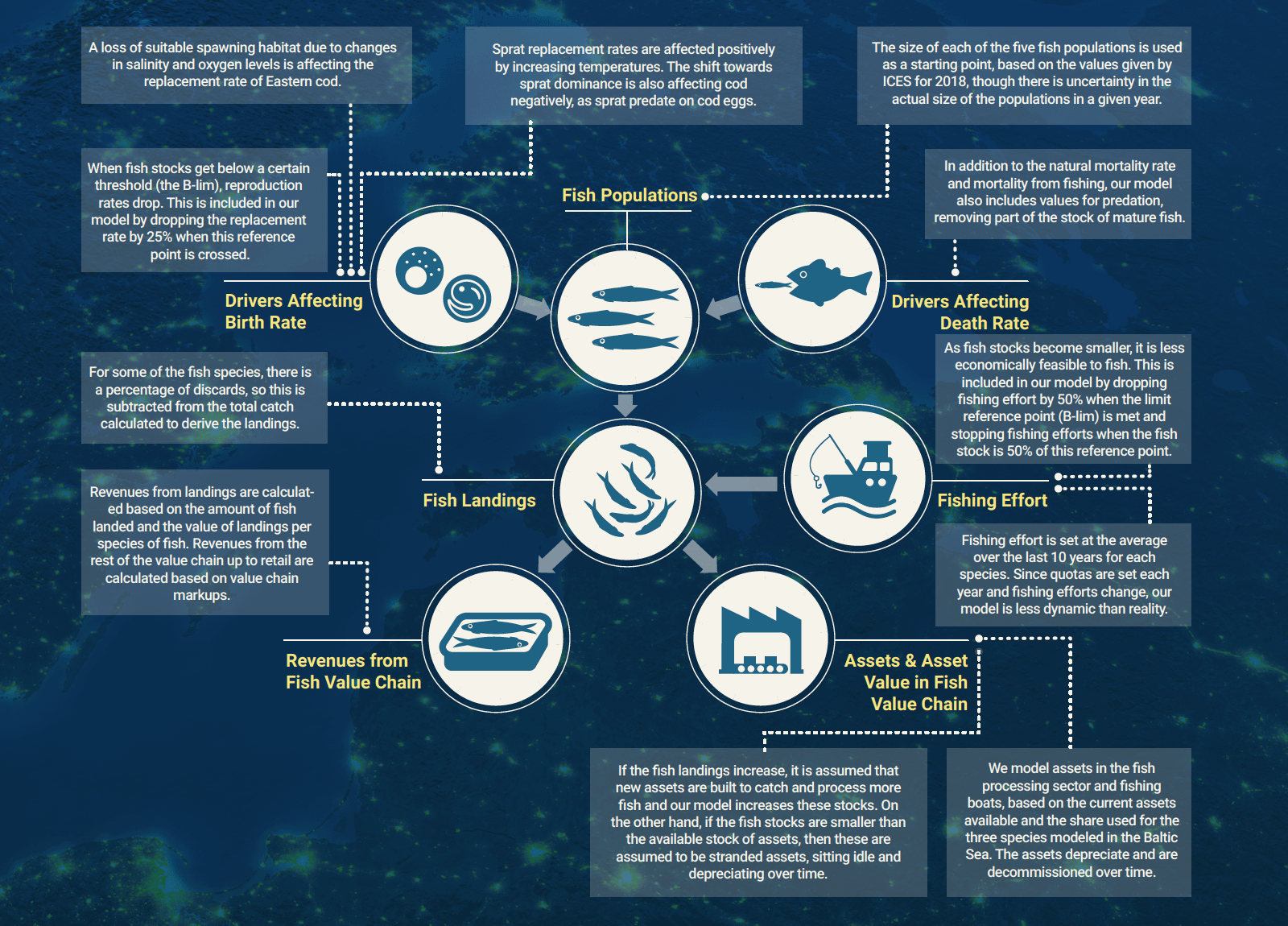 High Level Overview of the Baltic Fisheries Systems Model